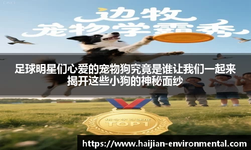 足球明星们心爱的宠物狗究竟是谁让我们一起来揭开这些小狗的神秘面纱